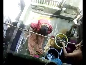 आकर्षक जानवरों की बी ...