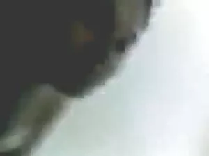 संचिका किशोर सिसर और ...