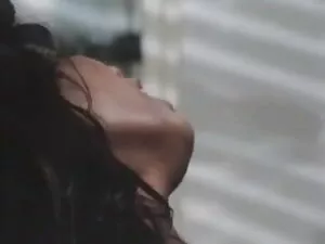 बैंगब्रोस-कट्टर और उ ...