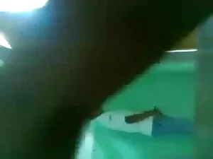 मैडी के तहत जानवरों  ...