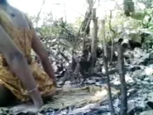 रीना कोइज़ुमी एशियाई ...