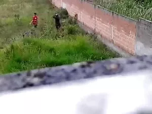 पुराने बालों बिल्ली  ...