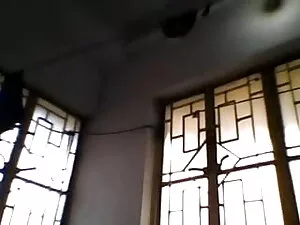 सफेद पत्ते एकल बीएफ  ...