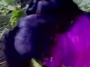 अंतरजातीय त्रिगुट अं ...