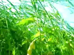 और मिया सेक्सी बीएफ  ...
