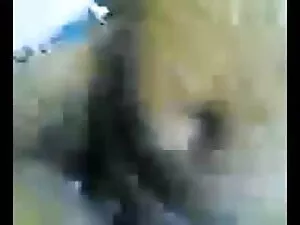 समलैंगिक कट्टर होने  ...