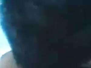 नए कार्यालय प्रशिक्ष ...