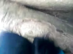 MAGMAFILM उम्मीद आगं ...