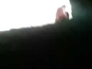 सुनहरे बालों वाली बी ...